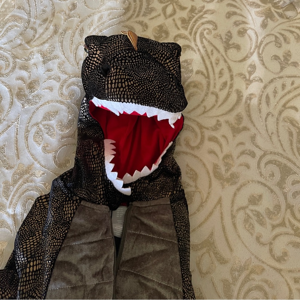 Dragon Costume